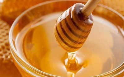 honey-saal