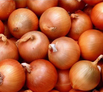 Yellow onion 360x320