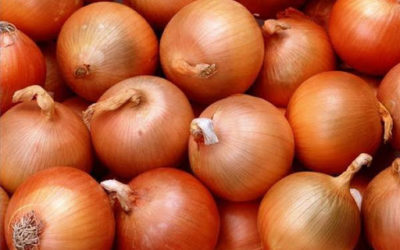yellow-onion
